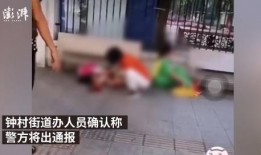 广州番禺爆料事件最新,揭秘背后真相与争议焦点